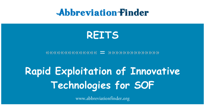 REITS: Schnelle Nutzung innovativer Technologien für SOF