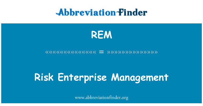 REM: 風險企業管理