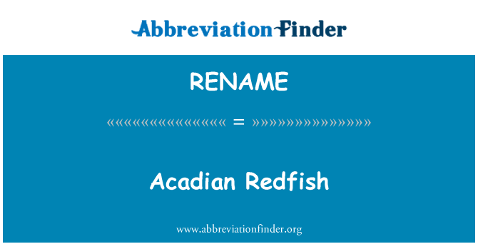 RENAME: Acadian Redfish