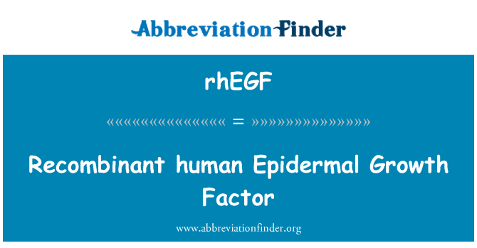 rhEGF: Ffactor twf Epidermal dynol ailgyfuno