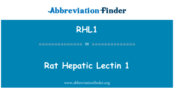 RHL1: 쥐 간 Lectin 1