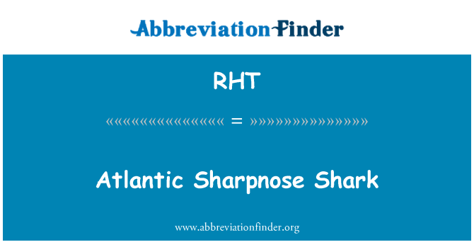 RHT: Atlandi Sharpnose Hai