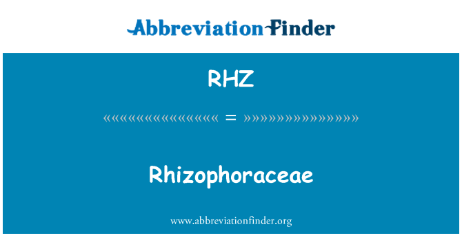 RHZ: 红树科植物