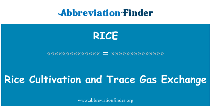 RICE: Diri Kiltivasyon e trase gaz echanj