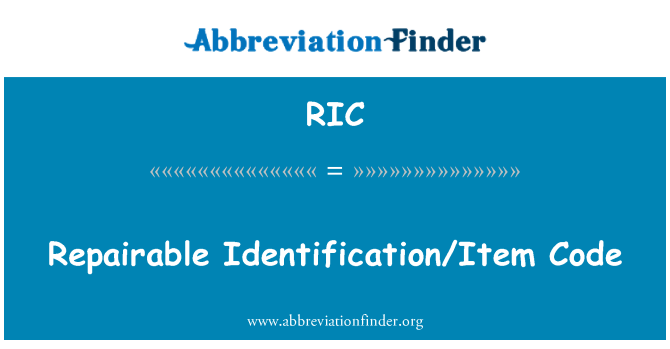 RIC: קוד זיהוי לתיקון/פריט