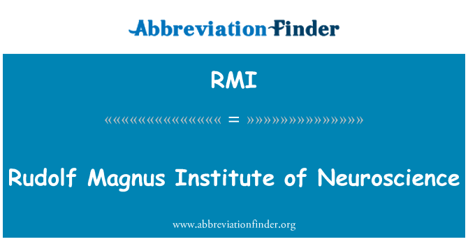 RMI: Rudolf Magnus Institut des neurosciences