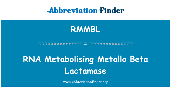 RMMBL: อาร์เอ็นเอ Metabolising Metallo Beta Lactamase