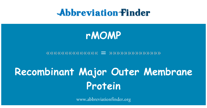 rMOMP: بروتين غشائي الخارجي الرئيسي المؤتلف