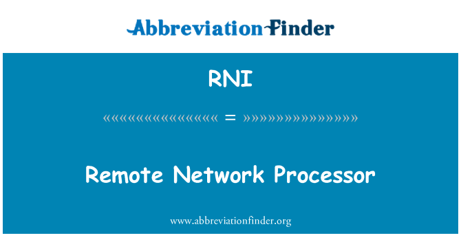 RNI: Remote Network Processor