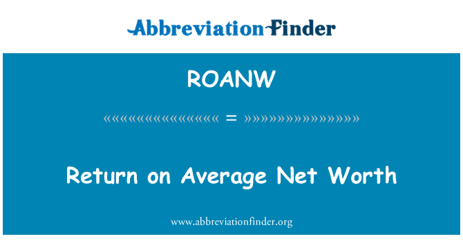 ROANW: 返回的平均净资产