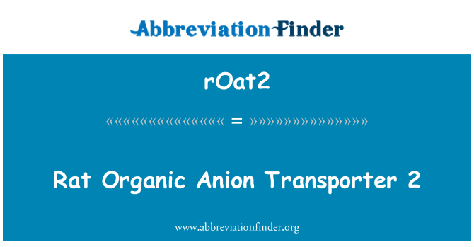 rOat2: Rat organické Anion Transporter 2