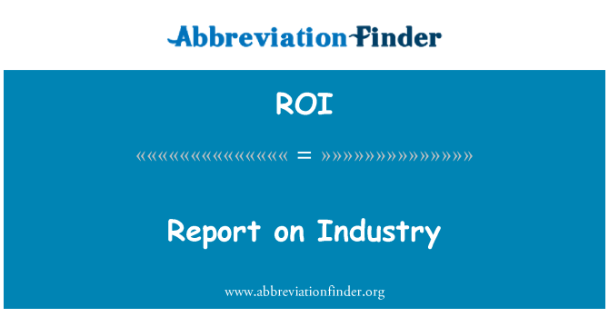 ROI: 产业报告