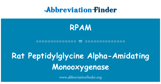 RPAM: चूहा Peptidylglycine अल्फा-Amidating Monooxygenase