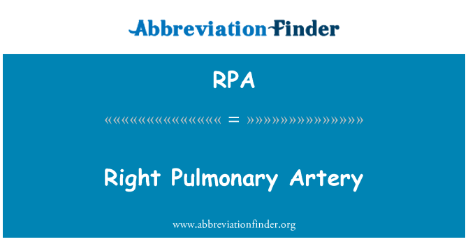 RPA: Arteri Pulmonary yang betul