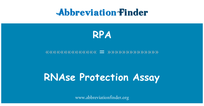 RPA: RNAse perlindungan Assay