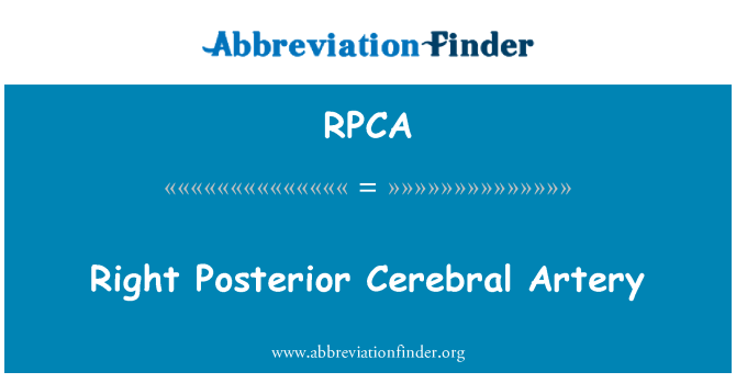 RPCA: Lige Posterior Cerebral arterie