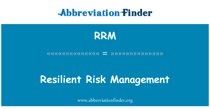 RRM: 탄력 있는 리스크 관리