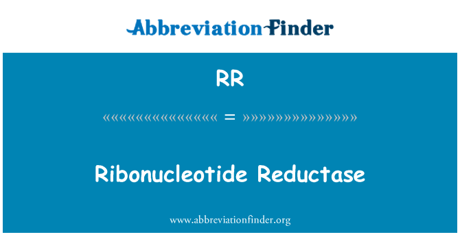 RR: Ribonucleotide Reductase