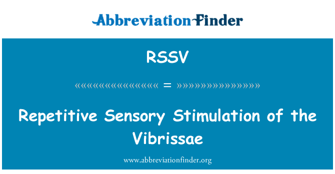 RSSV: גירוי חושי חוזרות של Vibrissae