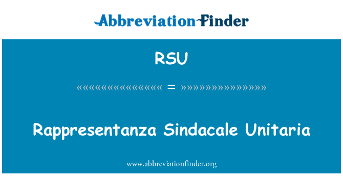 RSU: Rappresentanza Sindacale ЦСТ