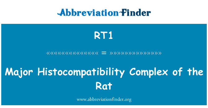 RT1: Major Histocompatibility Complex der Ratte