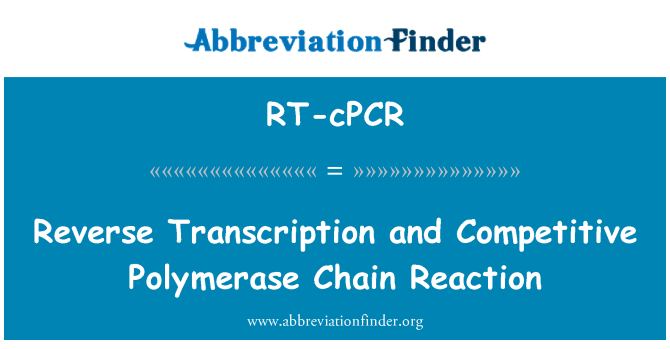 RT-cPCR: Omvänd transkription och konkurrenskraftiga Polymerase Chain Reaction