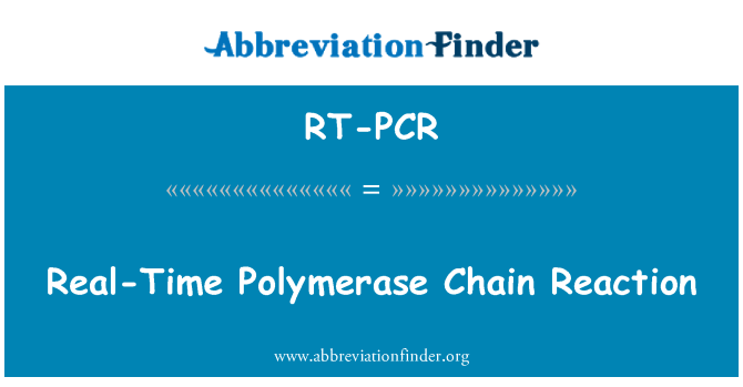 RT-PCR: مقداری