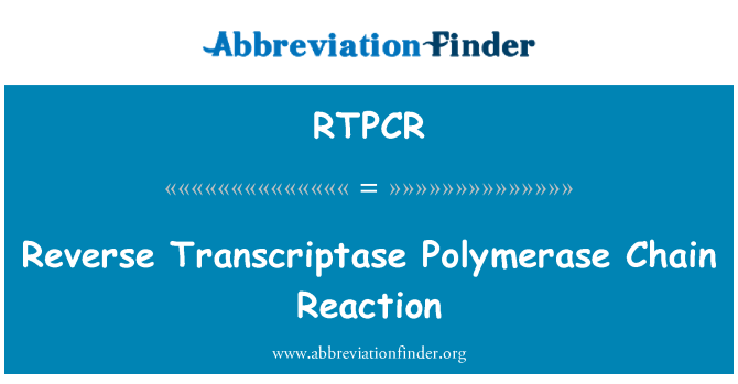 RTPCR: 逆转录聚合酶链反应