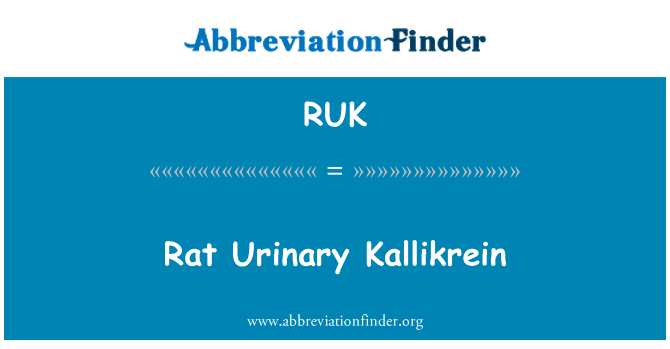 RUK: Kallikrein kencing tikus