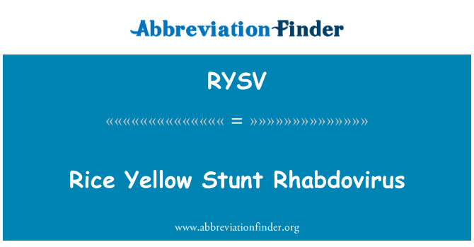 RYSV: 水稻黃特技彈狀病毒
