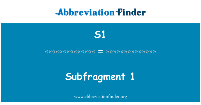 S1: Subfragment 1