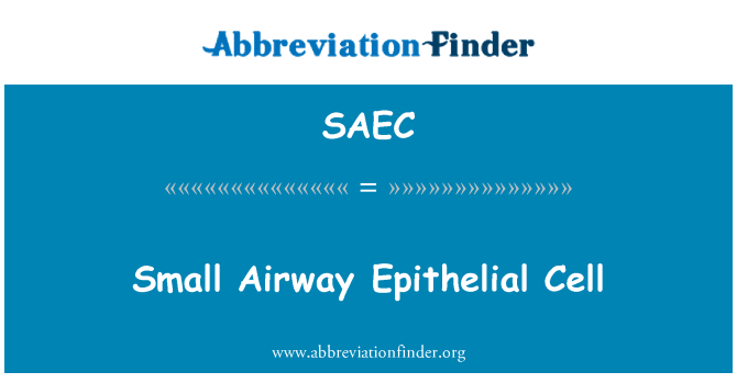 SAEC: Ajru żgħar Epithelial taċ-ċelloli