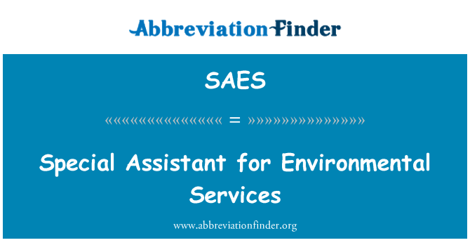 SAES: Erakorraline assistent keskkonnateenused