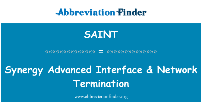 SAINT: Synergy Advanced Interface & Network Termination