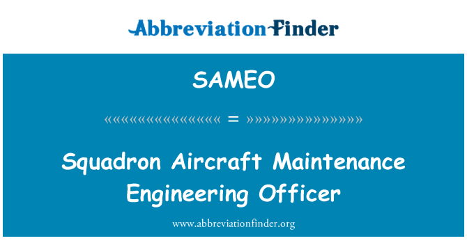 SAMEO: Letka letadel údržby Engineering Officer