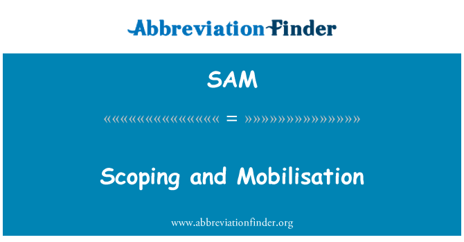 SAM: Scoping u mobilizzazzjoni