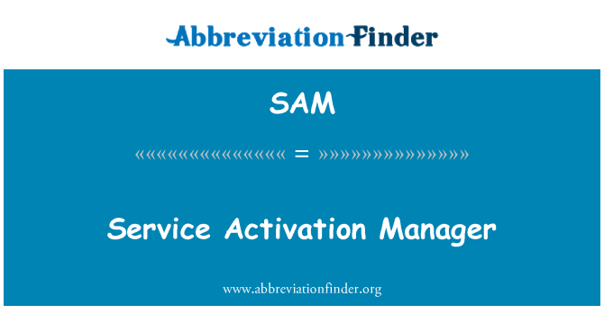 SAM: Service Activation Manager