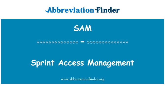SAM: سپرنٹ تک رسائی کا انتظام