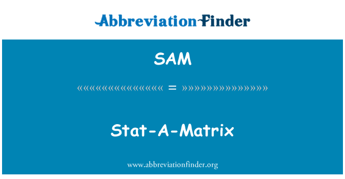 SAM: Stat-A-Matrix