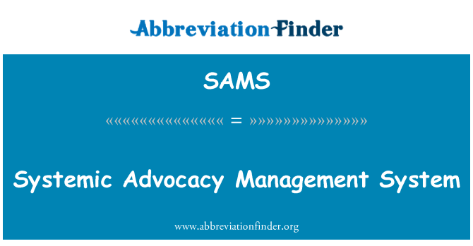 SAMS: Systemic Advocacy Management System