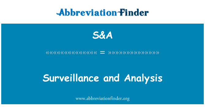 S&A: 監視和分析