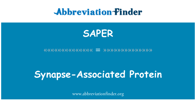 SAPER: Synapse-Associated Protein