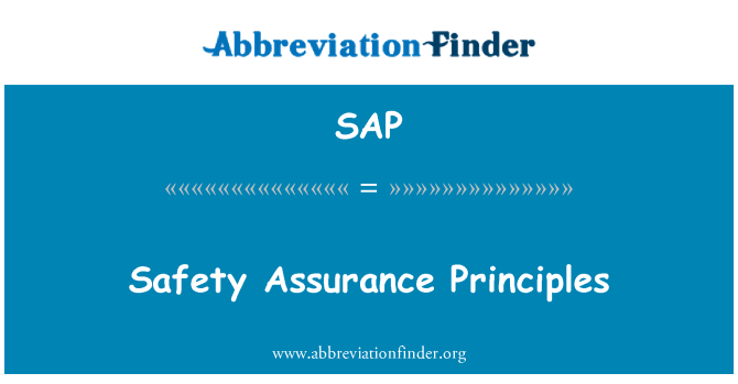 SAP: 安全保証の原則