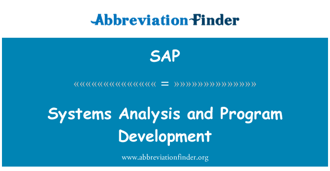 SAP: ניתוח מערכות, פיתוח תוכנית