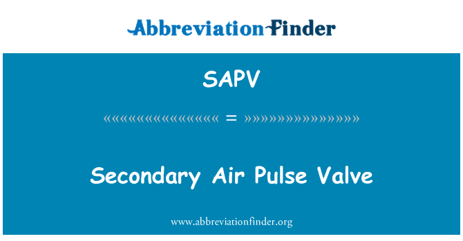 SAPV: Sekundärluft puls ventil