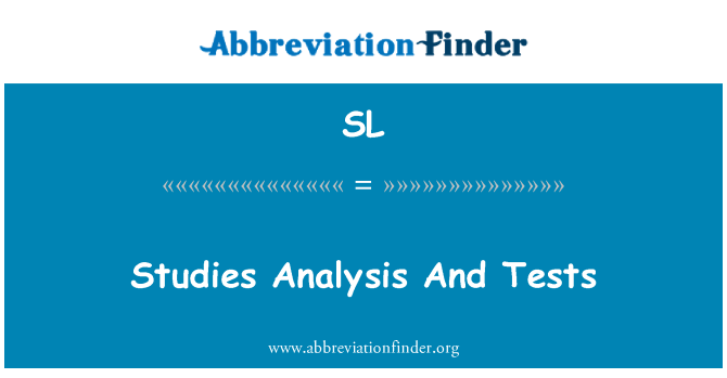 SL: Analýza studie a testy