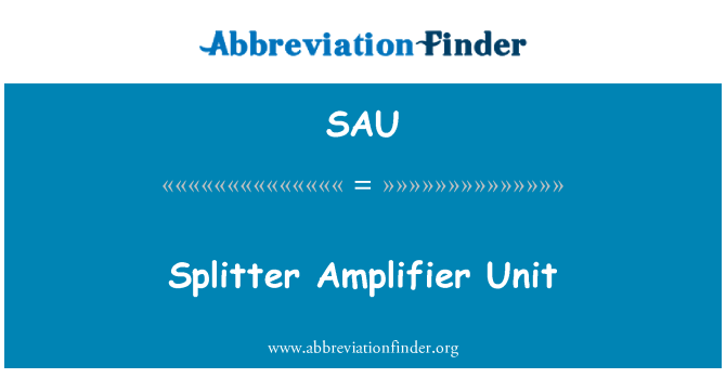 SAU: מפצל מגבר יחידה