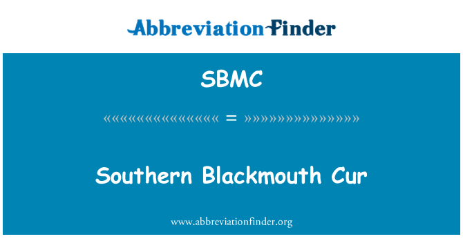 SBMC: Blackmouth Selatan Cur