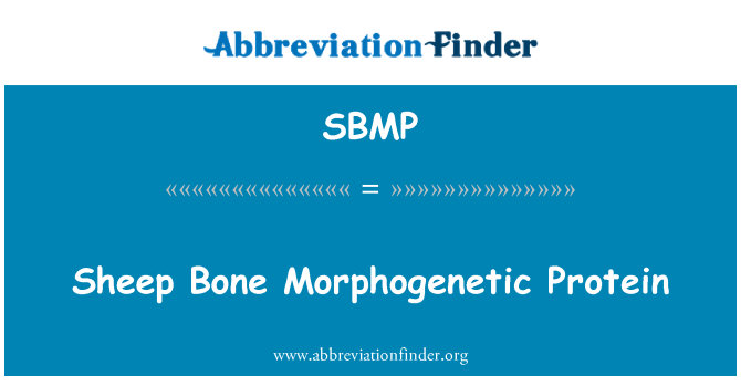 SBMP: Zo belye mouton an, Morphogenetic Protéines