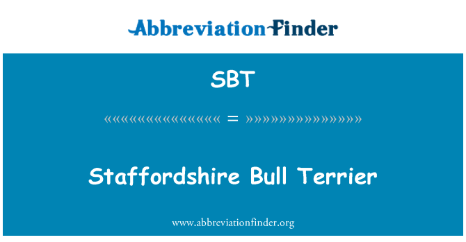 SBT: Staffordshire Bull Terrier